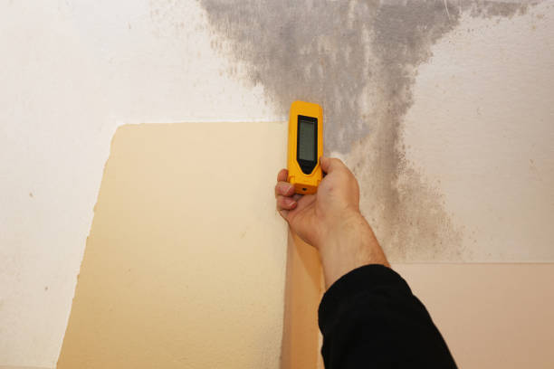 Dehumidification Services in Elk Creek, KY