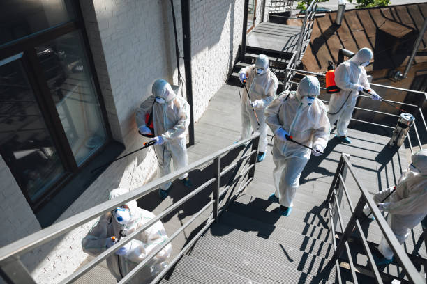 Best Biohazard Mold Removal  in Elk Creek, KY