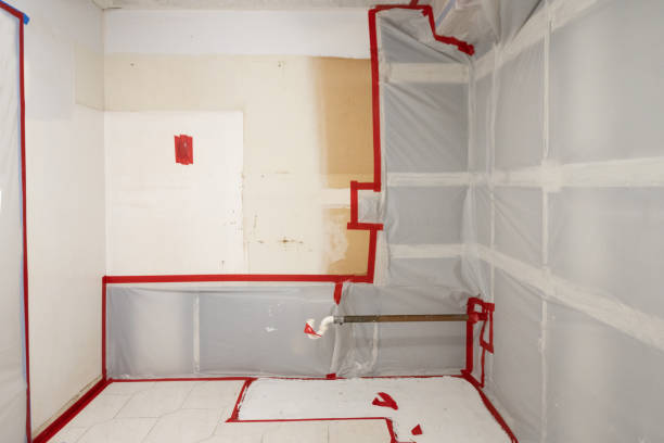 Elk Creek, KY Mold Removal Company